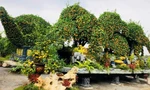 Choáng ngợp loạt ‘siêu phẩm’ cây cảnh chơi Tết ở Hưng Yên giá hàng trăm triệu đồng