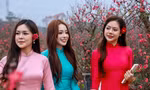 Thiếu nữ xúng xính áo dài, check-in vườn đào Nhật Tân