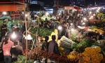 Hà Nội: Chợ hoa Quảng An 'không ngủ' dịp Tết 