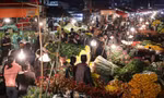 Hà Nội: Chợ hoa Quảng An 'không ngủ' dịp Tết 