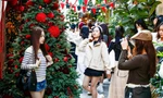 Xếp hàng chụp ảnh Giáng sinh sớm tại các quán cafe