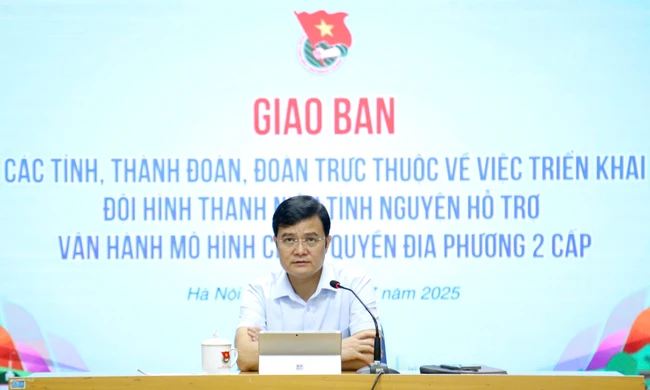 Tăng lực lượng tình nguyện hướng dẫn, hỗ trợ dịch vụ công trực tuyến tại nhà cho người dân