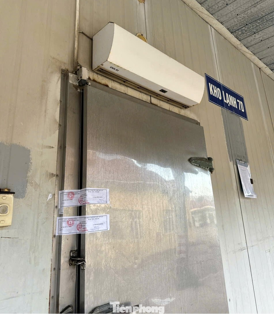 Vụ patê 'dính' lợn bệnh: Đồ hộp Hạ Long tạm ngừng sản xuất, người lao động ra sao?
