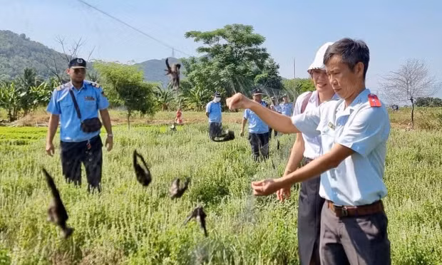 Khánh Hòa 'siết' nạn mua bán động vật hoang dã trên không gian mạng