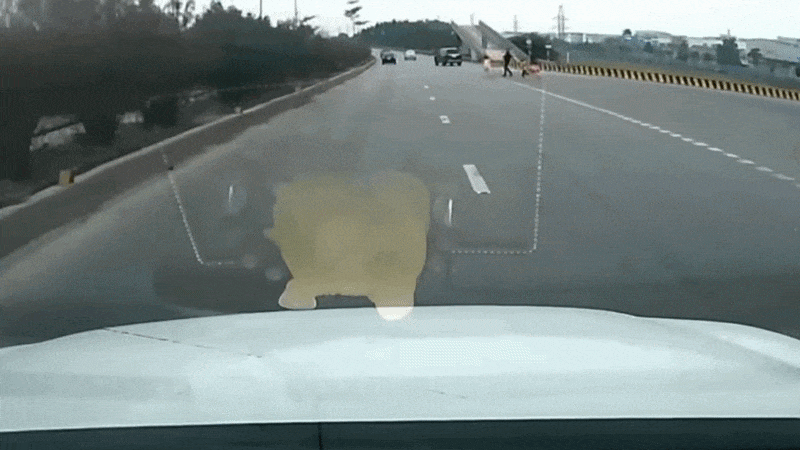 Clip: Ô tô phanh gấp, tránh em bé chạy băng qua đường Quốc lộ