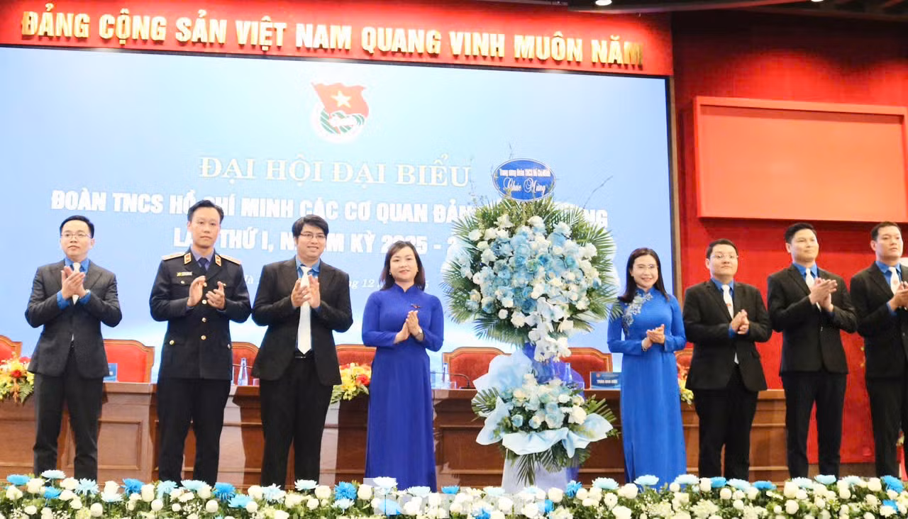 tp-dang-11.jpg