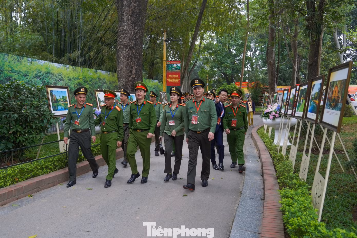 tp-5.jpg
