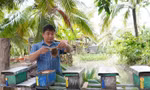 Bỏ nghề IT về quê nuôi ong, chàng trai Cần Thơ kiếm tiền tỷ mỗi năm