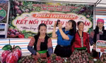 Thanh niên livestream đưa đặc sản Tây Bắc về xuôi