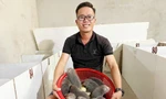 Kỹ sư cơ khí bỏ việc lương cao, về quê nuôi 'con đặc sản' thu bộn tiền