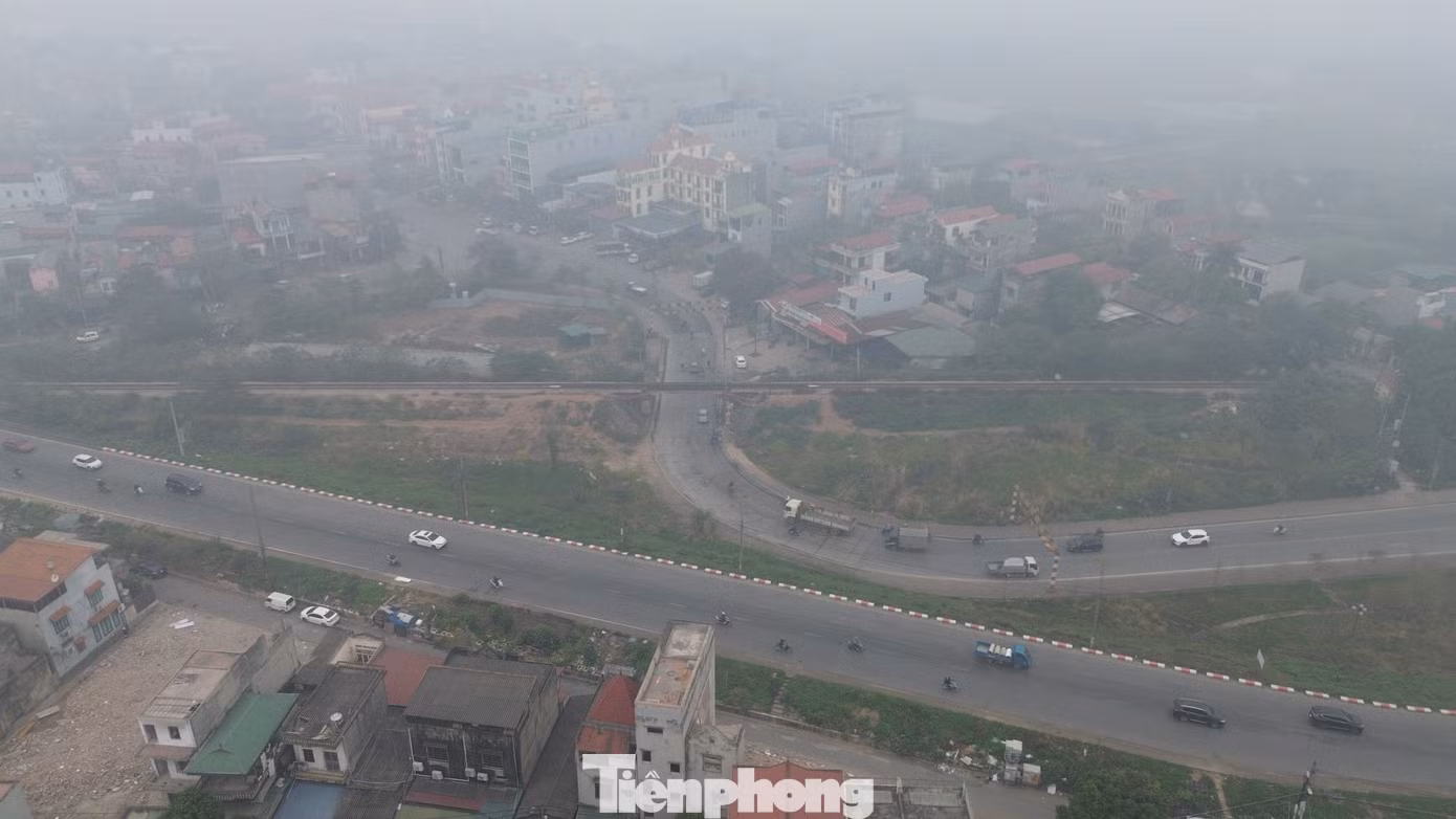 tp-7-4202.jpg