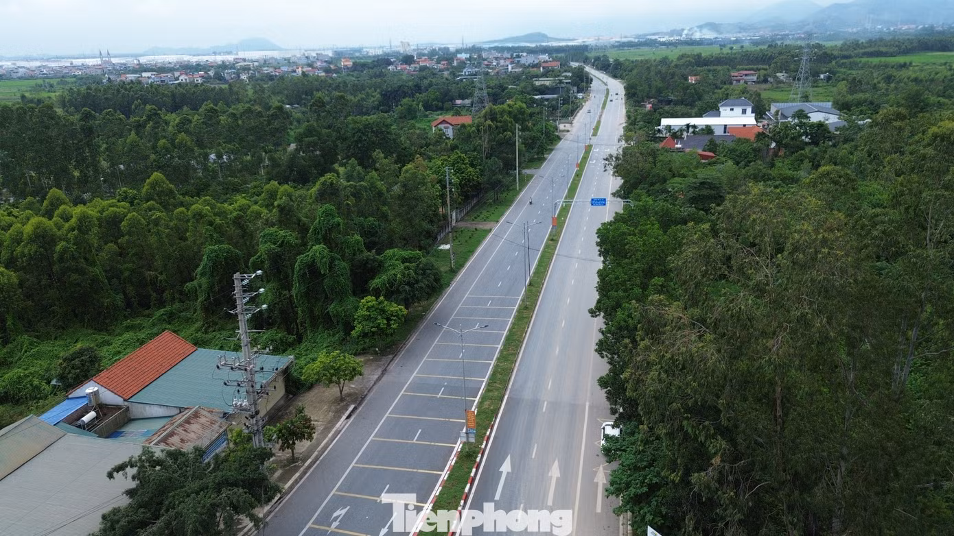 tp-10.jpg