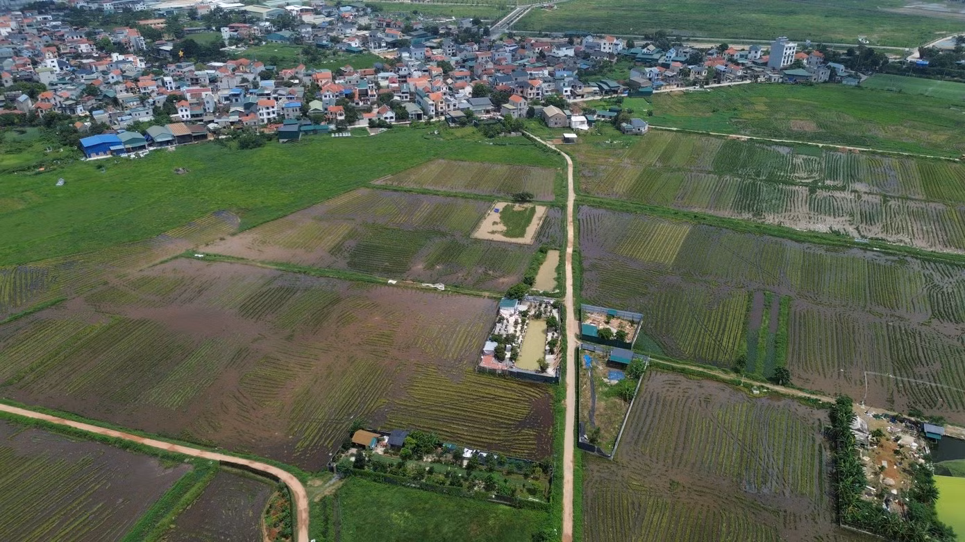 dji-0105-2831-9826.jpg