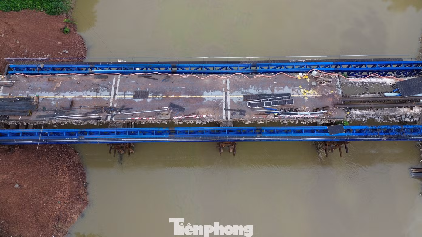 tp-7.jpg