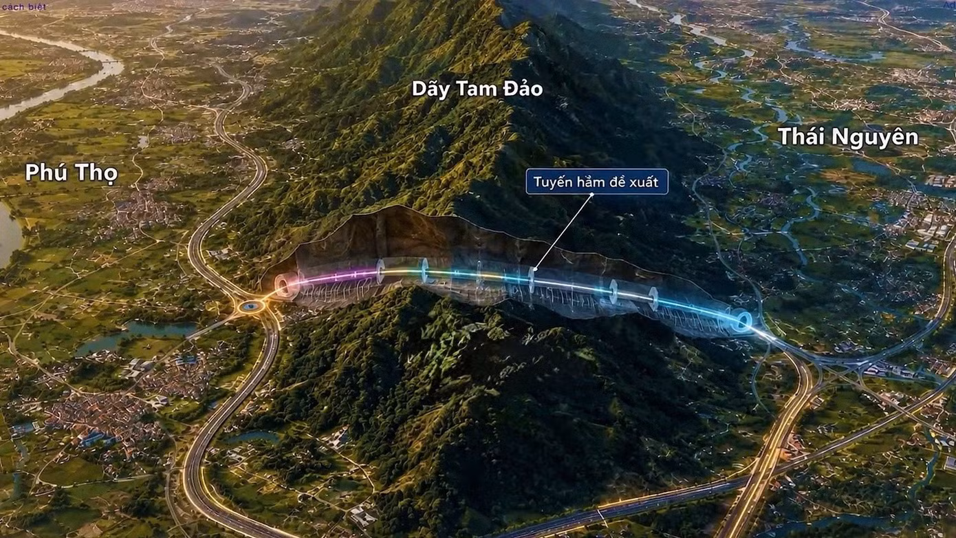 1000061438.jpg