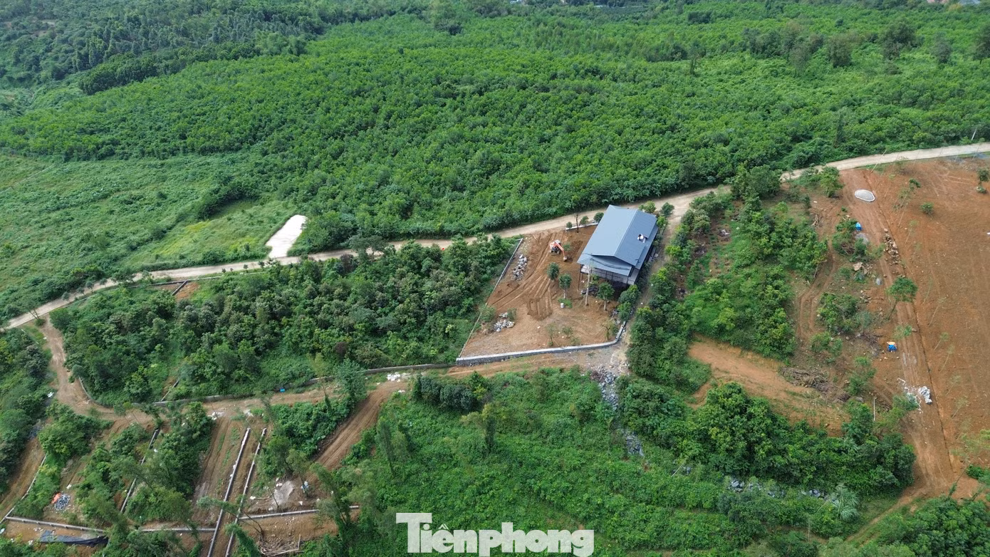 tp-1.jpg