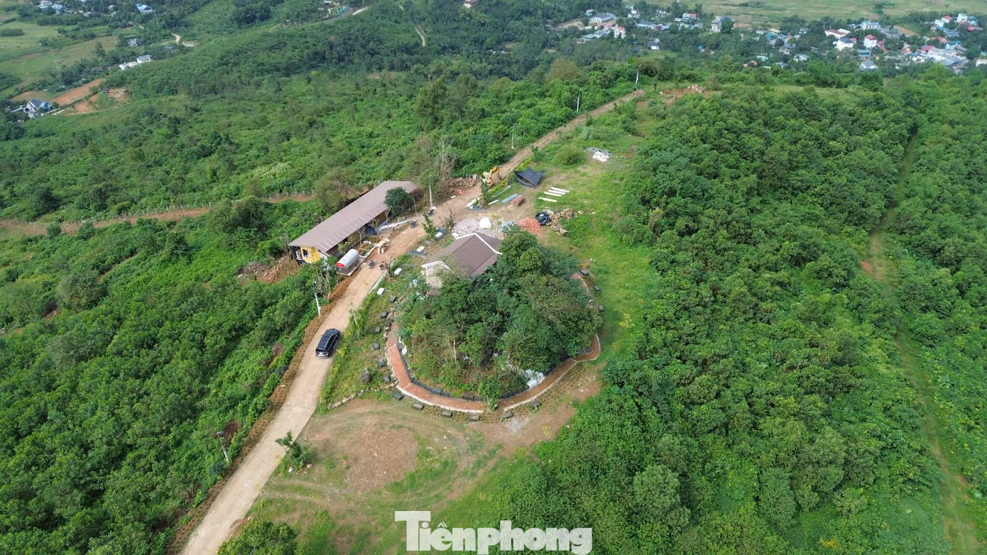 tp-2.jpg