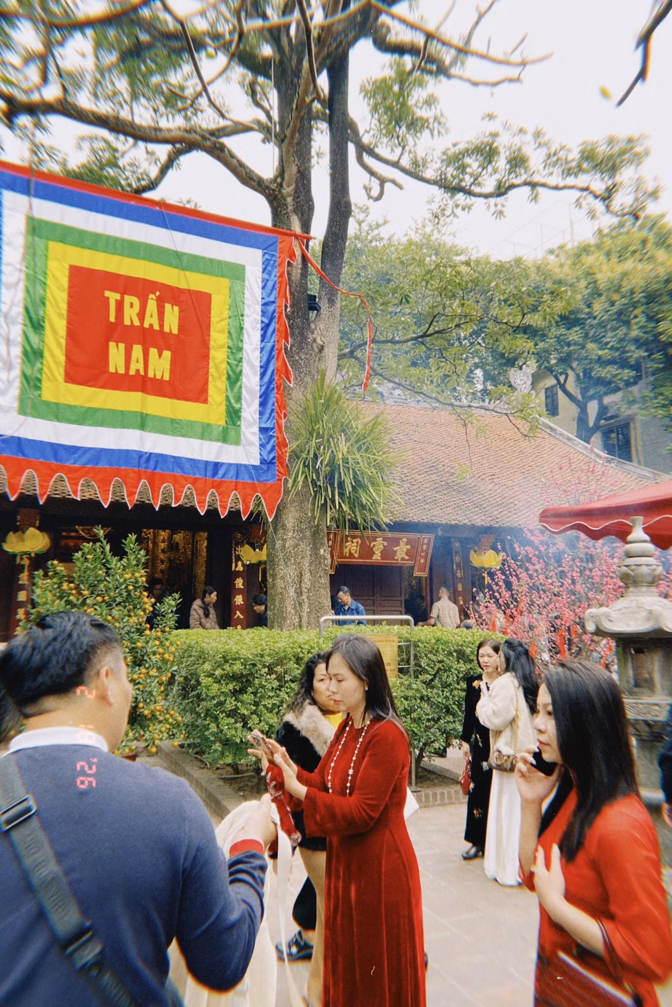 tltt2a.jpg