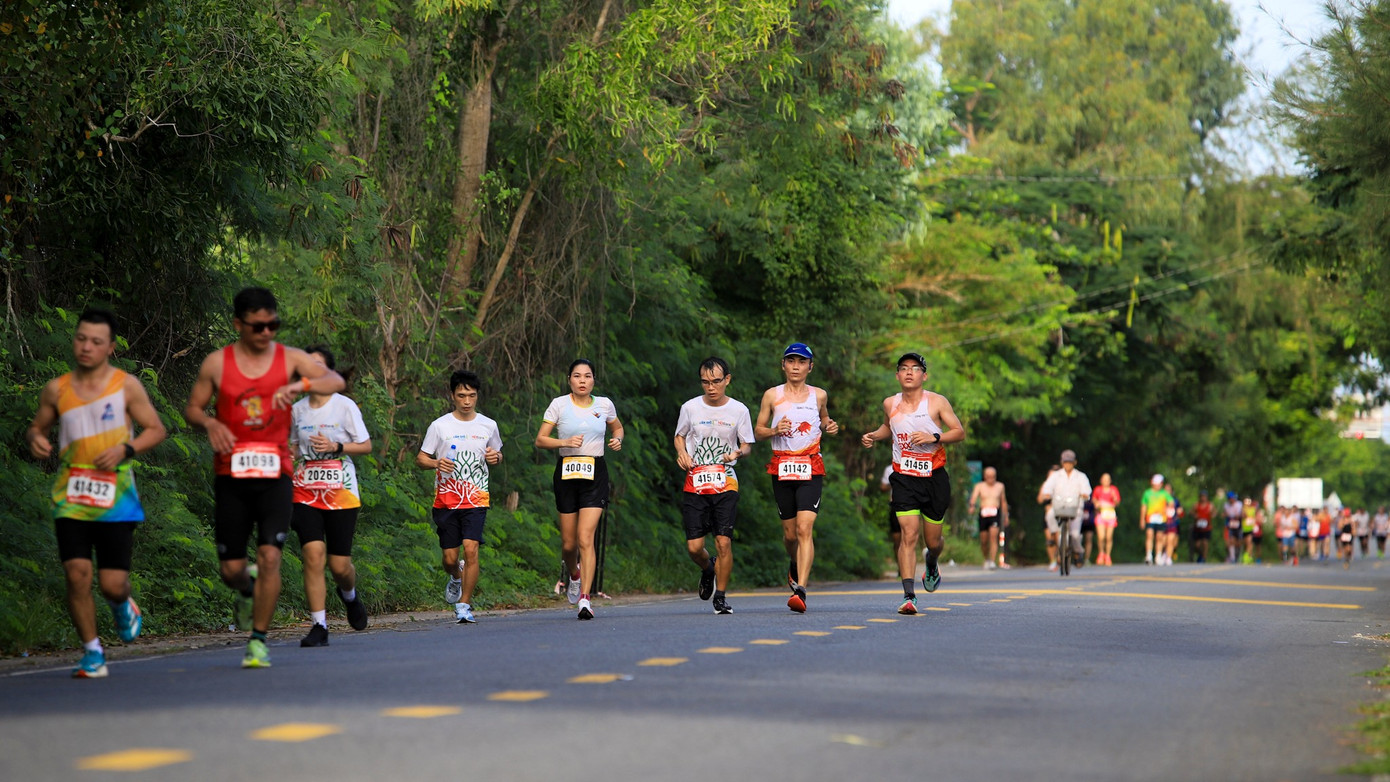 4-runners.jpg