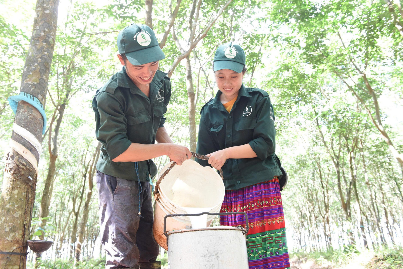 Công nhân khai thác Cao su Bà Rịa z6794293665845-424df9c2f2fb9b94d3406ecced086a3c.jpg