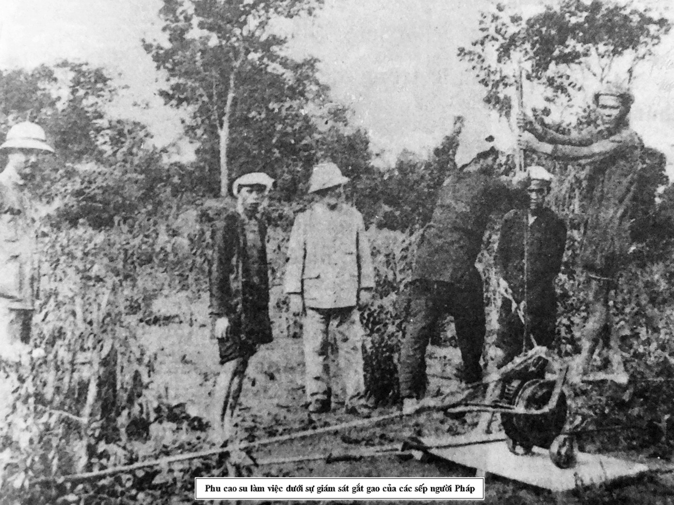 7phu-cao-su-lam-viec-duoi-su-giam-sat-cua-nguoi-phap.jpg