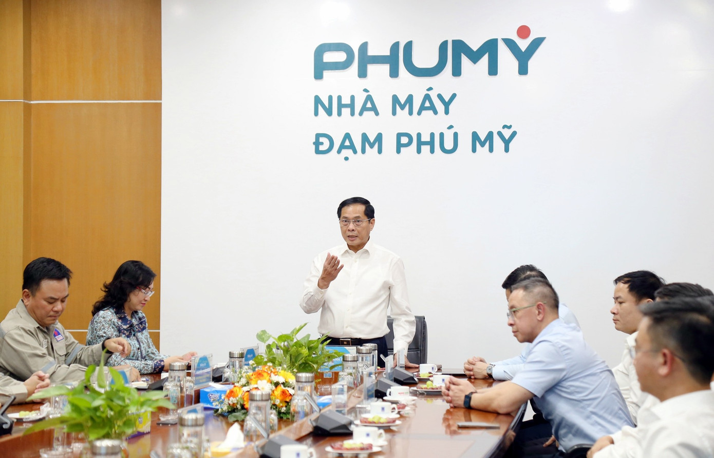 pho-thu-tuong-bui-thanh-son-tham-nha-may-dam-phu-my-1.png