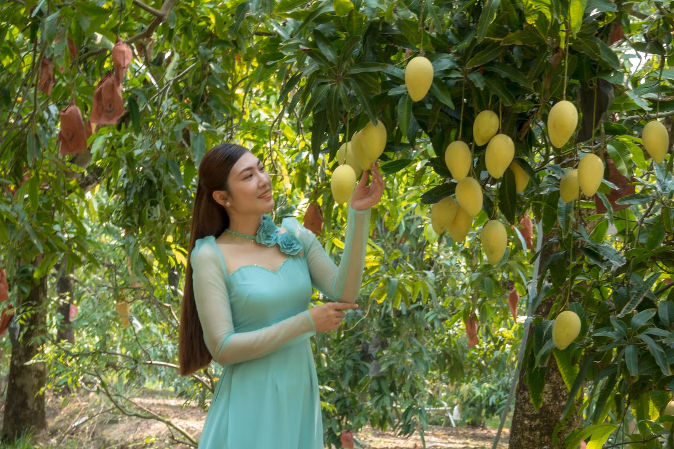 anh-2-5984.jpg