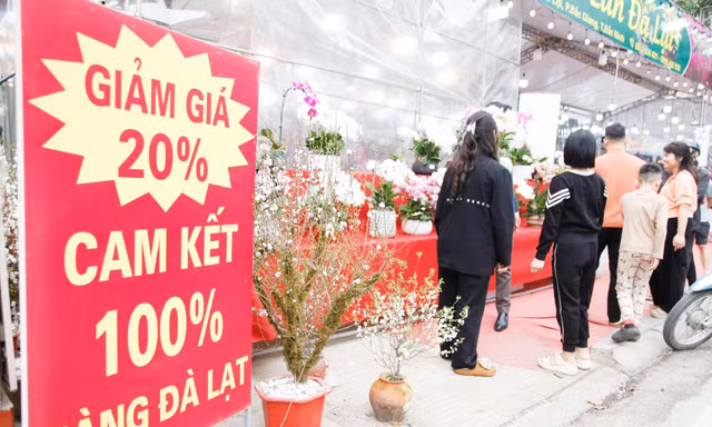 Cửa hàng lan của anh Hoàng Văn Đức giảm 20% giá bán. Ảnh: Nguyễn Thắng