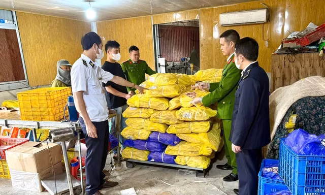 Chân gà đông lạnh vi phạm bị cơ quan chức năng phát hiện.