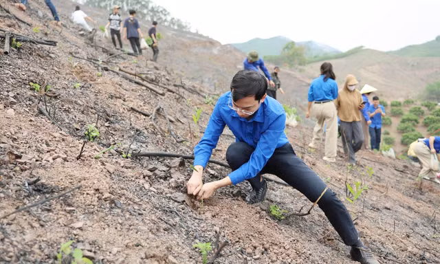 Lãnh đạo Tỉnh Đoàn Bắc Ninh trồng cây xanh.