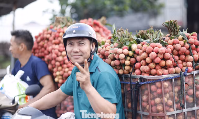 Năm nay, Bắc Ninh dự kiến vải thiều đạt sản lượng hơn 95.000 tấn. Ảnh: Nguyễn Thắng