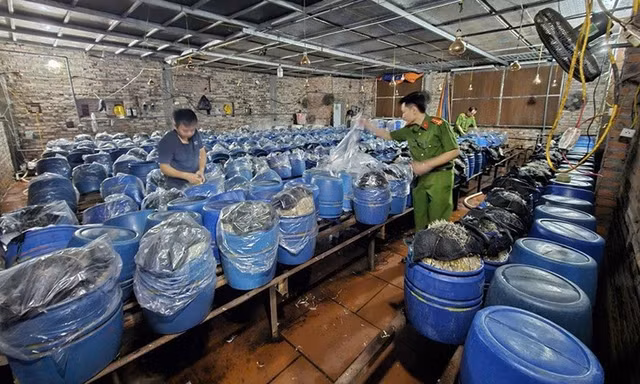 Cơ quan chức năng kiểm tra cơ sở sản xuất giá đỗ vi phạm.