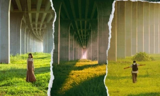 Lạc vào chốn “tuyệt đối điện ảnh” tại Đồng Tháp: Đồng cỏ xanh mướt đẹp ngỡ ngàng