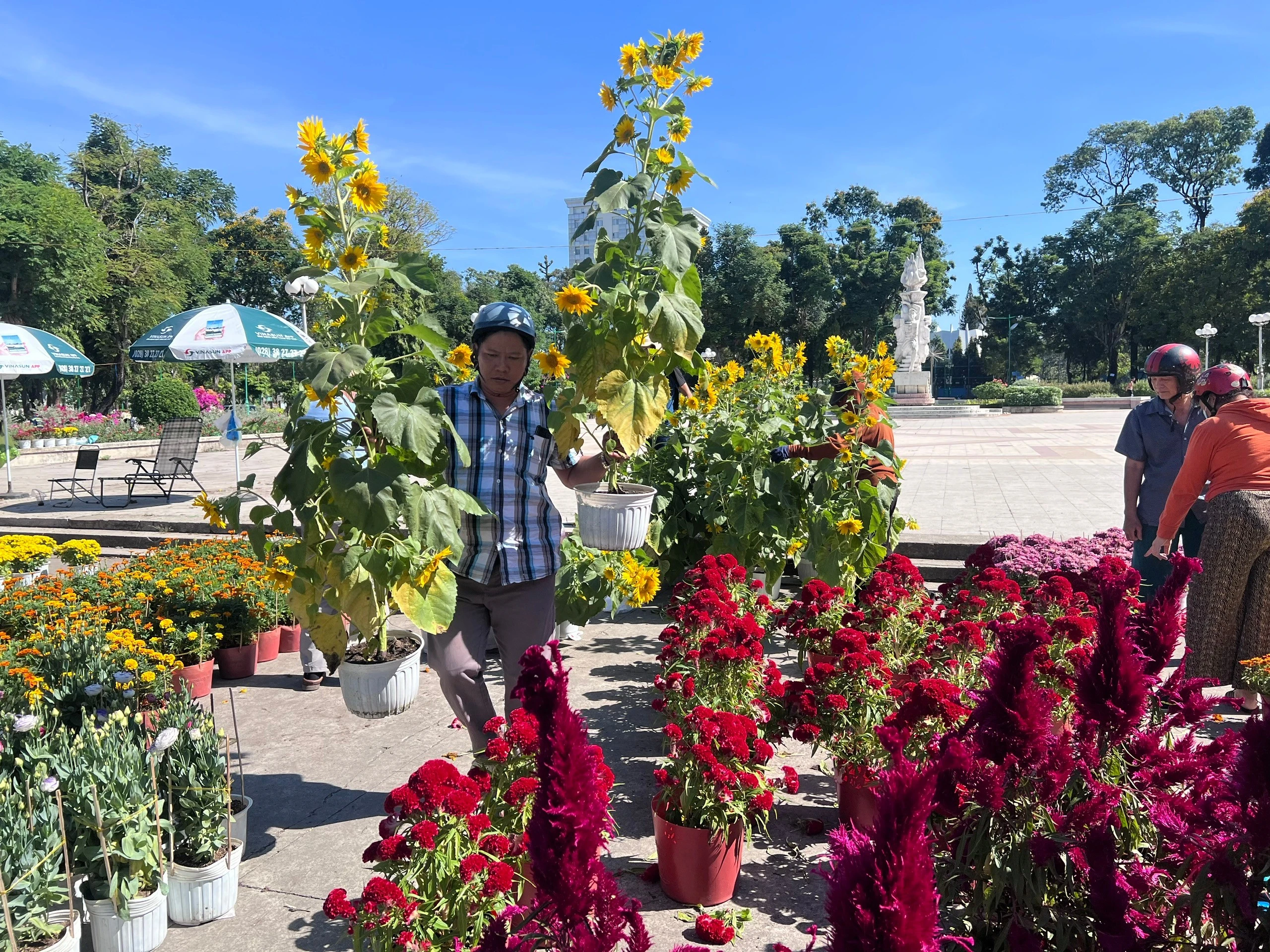 Chợ hoa xuân TPHCM nhộn nhịp ngày cuối năm, tiểu thương giảm giá mạnh để bán hết hàng
