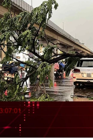 TIN NHANH: Vì sao dông lốc đôi khi nguy hiểm hơn cả bão?