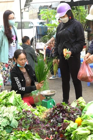 Lý giải nguyên nhân rau xanh Hà Nội tăng giá phi mã