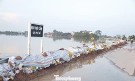 Gia cố đê sông Cầu thuộc địa phận xã Xuân Cẩm do nước lũ dâng cao. Ảnh: Nguyễn Thắng