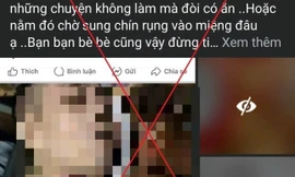 Chị P.T.T.N đăng tải hình ảnh bạo lực, rùng rợn để thu hút tương tác.