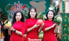 Một bạn trẻ check-in tại lễ hội.