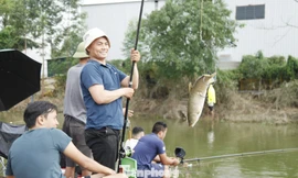 Một cần thủ ở phường Thuận Thành đi hàng chục km đến phường Việt Yên câu cá vùng nước ngập sau lũ.