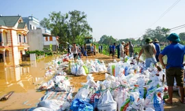 Lực lượng Công an, dân quân và Nhân dân xã Hợp Thịnh xử lý chồng tràn đê sông Cầu.