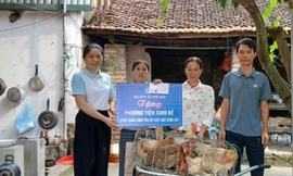 Các cấp Hội Phụ nữ tỉnh Bắc Ninh trao sinh kế cho hội viên có hoàn cảnh khó khăn.