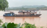 Tàu hút cát không số, không phao hoạt động rầm rộ trên sông Hồng qua Lào Cai 