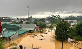 Khẩn trương báo cáo, bồi thường bảo hiểm thiệt hại bão số 10