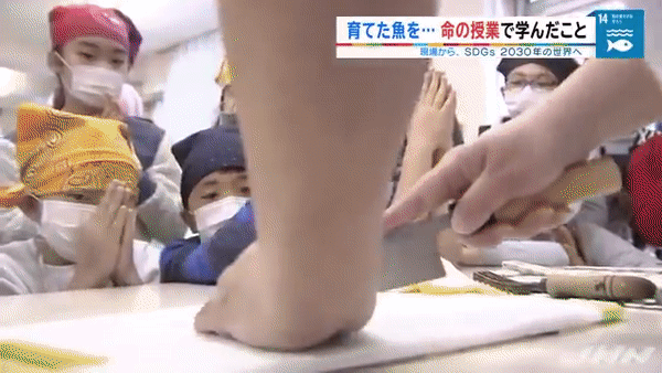 Showbiz 11/4: Ốc Thanh Vân khóc nhớ Mai Phương ảnh 7