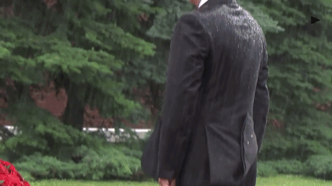 Mặc trời mưa to, ông Putin vẫn hướng lòng thành kính đến các chiến sĩ vô danh đã hy sinh trong cuộc chiến chống Phát xít.