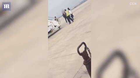 Cặp vợ chồng Trung Quốc cãi nhau rồi ẩu đả trên đường băng.