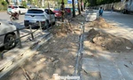Hà Nội: 'Khoét' vỉa hè lát đá tự nhiên để lấy chỗ trồng cây hoa, thảm cỏ