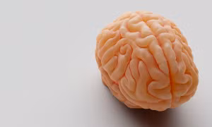 4 bí quyết cho sức khỏe não bộ