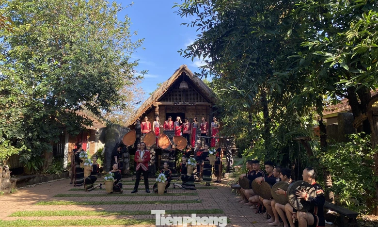 Du khách say với cà phê và 'tiệc' cồng chiêng Ê Đê